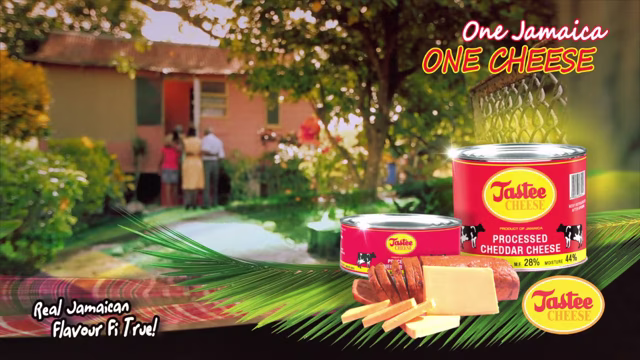 Tastee Cheese Commercial
